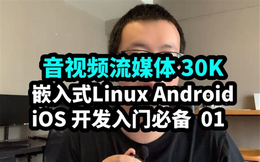 音视频流媒体30K 嵌入式Linux Android iOS开发入门必备 v4l x264 alsa 库