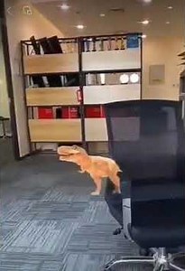 Introduce our new product——AR Optical Waveguide Module 640x400