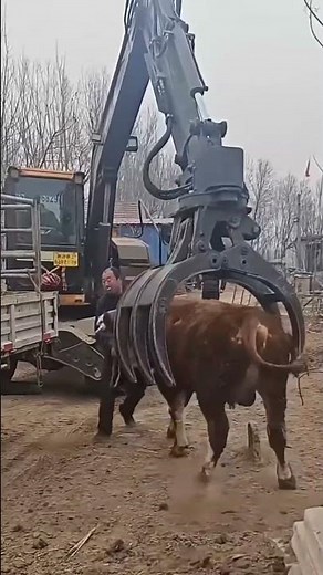 FASTER Loading in JUST Minutes ⏱️🐂