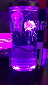 Watch Jelly fish lamp on Amazon Live