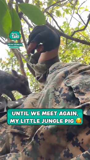 212K views · 4.9K reactions | Making new friends in the jungle!  | Furry Tails | Facebook