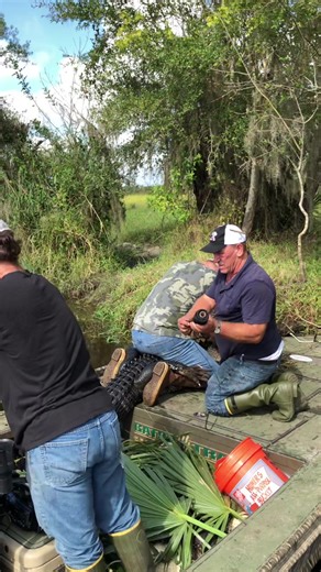 Relocating a 12’ Gator with the Swamp Kings | Bill Booth Outdoors