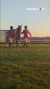 CALANDAGAN after winning the 2025 Japan Cup | Racing Post | Horse Racing #Horse #Japan #Champion