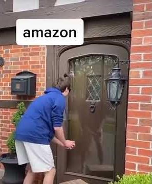 Amazon vs UPS vs FedEx