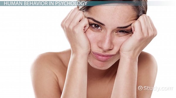 Human Behavior | Definition, Types & Examples