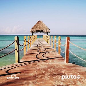 Llegan más y más canales nuevos a Pluto TV, 🤩 pensados especialmente para cada uno de nuestros fans y todos GRATIS. Clásicos, realities, aventura, paisajes y mucho para ver en tu plataforma favorita. ¡Estos son los nuevos canales para tí! 😎 - Pluto TV Aventura - Pluto TV Paisajes por Stingray - Empeños a los Bestia - Los Tres Chiflados | Pluto TV Mexico
