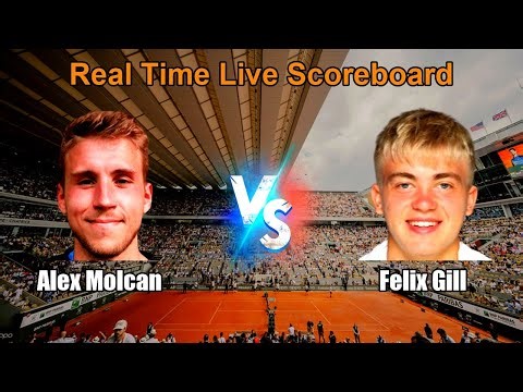 Alex Molcan vs Felix Gill Live Score - French Open Men Singles