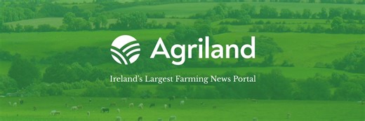 AgriFocus: A guide to understanding the National Genotyping Programme