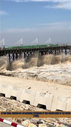 Up - Close Tide Viewing: Power of the Surging Waves