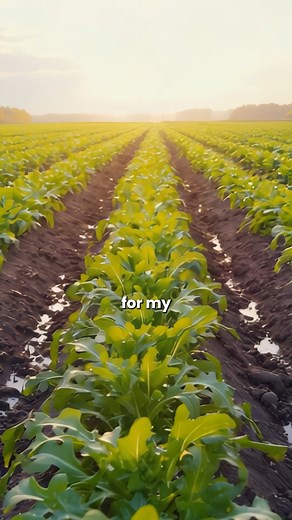 🚢 Got my First Export Order… But No Capital to Ship? 🔥 Your first shipment is not about money… it’s about mindset & strategy. If you have an order, capital will always follow. “There are multiple smart ways to ship your first order even with low capital — advance payment, supplier credit, back-to-back orders, and packing credit loans.” #kdsushma #exportimport #exportimportbusiness #eximbusinesscoach #businessconsultant #agriexport #myfirstshipment #ExportImportBusiness #EXIMTraining #ExportBus