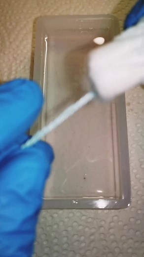 Understanding Tampons: A Close-Up Guide