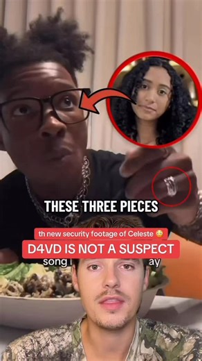 NICK PETERSON on Instagram: "D4VD AND CELESTE UPDATE SECURITY FOOTAGE 😳 this is straight out of a movie 😓 what do you think? 👀"