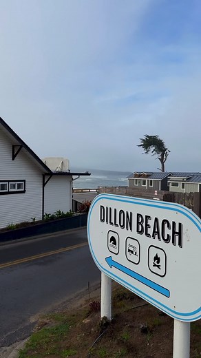 102K views · 1.1K reactions | Enjoying this autumn weather... #dillonbeachresort #visitcalifornia #travel #bayarea #sf | Dillon Beach Resort | Facebook