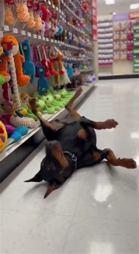 He has a "Self-Destruct" button 🔘