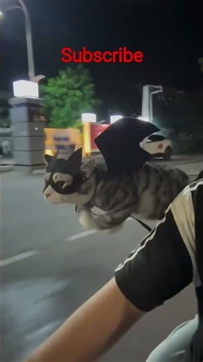 Cat man #shorts #trending #cat #dance #viral