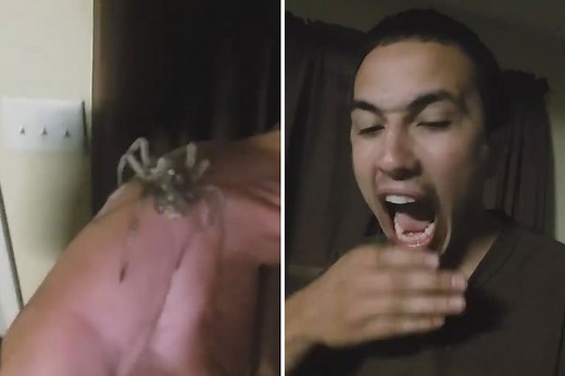 Dude eats a huge spider, washes it down with a beer