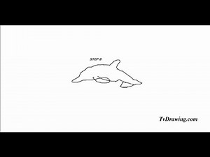 How To Draw a Simple and Easy Cartoon Dolphin Step by Step