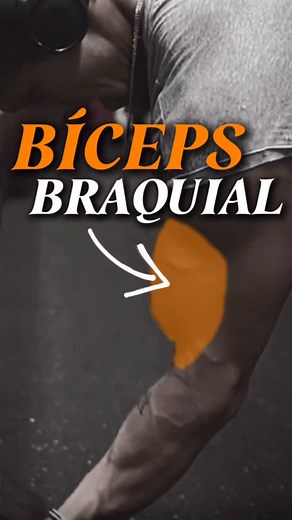 📍El musculo bíceps braquial: anatomía y función 👉🏼En este video exploramos la anatomía del bíceps braquial, un músculo clave en la flexión del codo y la supinación del antebrazo. 🤔Hablamos sobre sus orígenes en la escápula, su inserción en el radio y su importancia en el movimiento del brazo. 💪🏼Tambien incluimos que ejercicios debes incluir en tú rutina para desarrollarlo. ❕SÍGUEME PARA MÁS ❕ | Progressus Fisioterapia