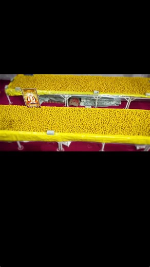 Spiritual Information Kabir on Instagram: "Satlok Ashram Betul ❤️‍🔥 [Kabir Saheb Nirvan Diwas, Sant Rampal Ji Maharaj, Satlok Ashram, Vibes, Trend, After Effects, Editing, Edits, Viral Video, Penguins ] #SaintRampalJi #KabirlsGod #edits #SatlokAshramEdits #aftereffects"