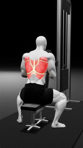 Best Seated Cable Rear Delt Fly to Fix Your Weak Upper Back 🔥 #Fitness #WorkoutTips #BackDay #delts