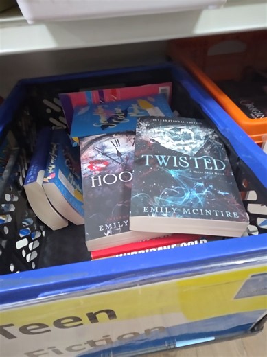 Dark Romance on BookTok: Is This Teen Fiction?