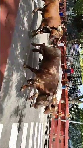 🔴 Directo desde Torrejón de Ardoz