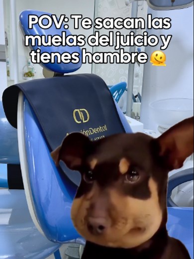 POV: Te sacan la muela del juicio 😔 Al día siguiente: hinchado, sin poder masticar y arrepentido de todo 😭🦷 #ortodoncia #mueladeljuicio #brackets #memesdentales #humor