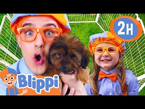 Blippi's Puppy Playdate 🐶 | BEST OF BLIPPI TOYS | Educational Videos for Kids