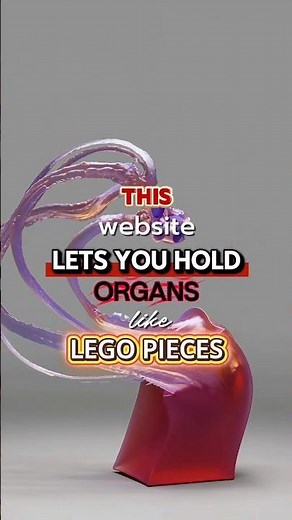 Free Tool: See inside the human body ⚡️