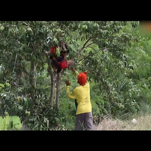 Dog Bite _Public Prank_ _ natakot seila Disclaimer:This video content is for entertainment and goodvibes purposes only no hardfeelings just relax and be smile everyone! | Ninong Jess Supporter5