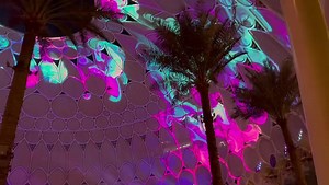 Expo 2020 in Dubai is AMAZING. I could watch the animations projected on the dome for hours and hours. | Jerad Gardner, MD