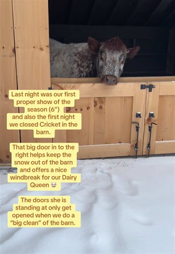 Enjoying Simple Pleasures on the Homestead