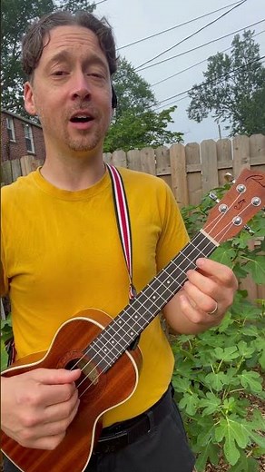 Verse 1, the Rainbow Connection by Paul Williams and Kenneth Ascher