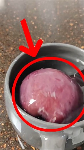 Wax on Apples?! 🍎😳 You’ve Been Eating This the Whole Time!