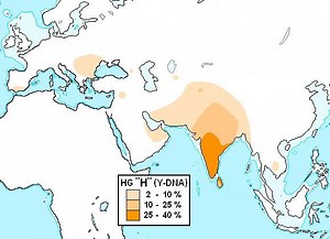 Haplogroup H (Y DNA) - Alchetron, The Free Social Encyclopedia