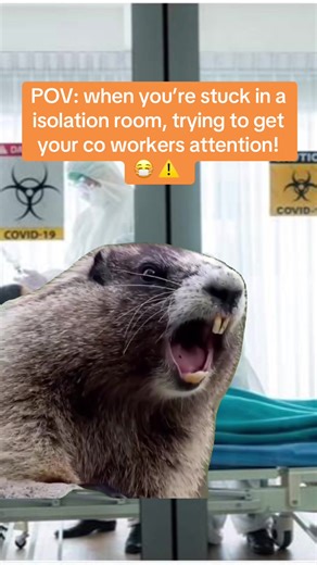 When you’re trapped in isolation and finally lock eyes with someone outside 👀