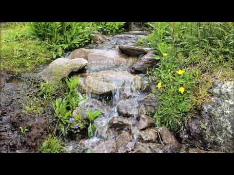 Relaxation Light Classical 1