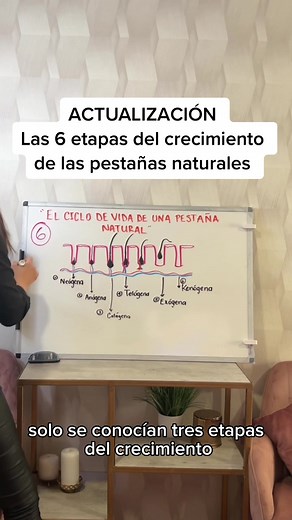 Las 6 etapas del crecimiento de las pestañas naturales