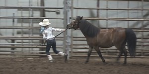 Shawnee County Fair saddles up with 4H horse show