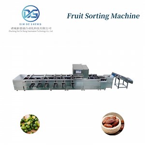 [Hot Item] Automatic Date Grading Machine, Ai Intelligent Date Sorting Machine for Size and Defects