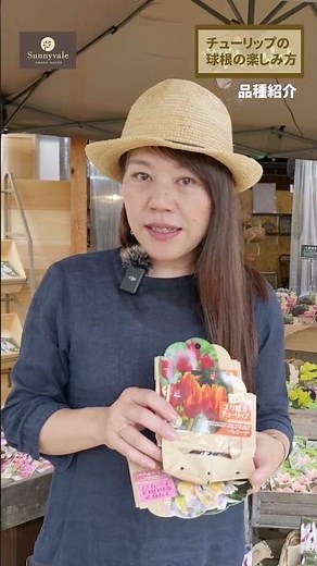 [Cute tulips♡] Introducing varieties and planting methods♪