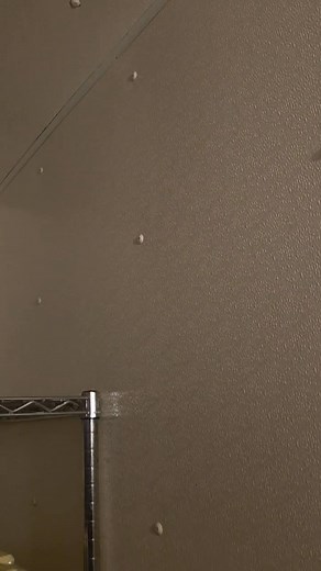 Spring Green General Store on Reels