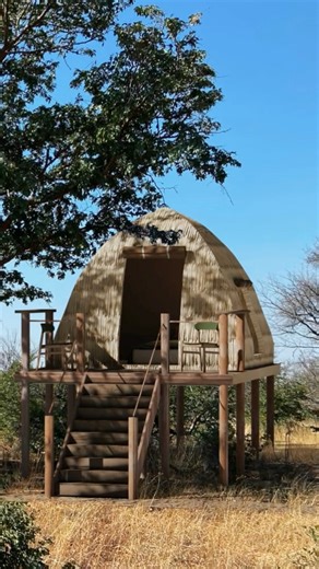 Introducing our newest adventure: the Tsodilo Hills Sleep-Out Camp Experience, where our passion for culture and conscious innovation merge. Departing from Nxamaseri Island Lodge, amid the splendour of the Okavango Delta, journey to Tsodilo Hills, renowned for its spiritual significance. Here, in the presence of Male Hill, Botswana’s highest peak, and the sacred Tsodilo Hills, are our four exceptional canvas pods—a sustainable haven for exploring ancient rock art and connecting with the local Bu