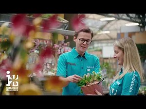 Intratuin Halsteren Het Kleurrijke Leven; Advies van echte professionals