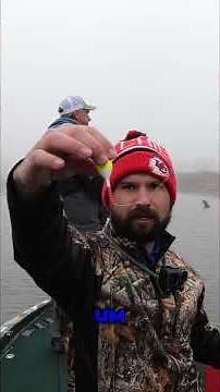 Crappie Rod & Reel Setup 🎣 | What Works on Truman Lake