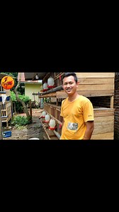 226 reactions · 16 comments | Analisa Usaha Peternakan Ayam Kampung Petelur ELBA di Tengah Kota dgn Desain Kandang Box 2 Tingkat | Muhammad Ridwan | Facebook