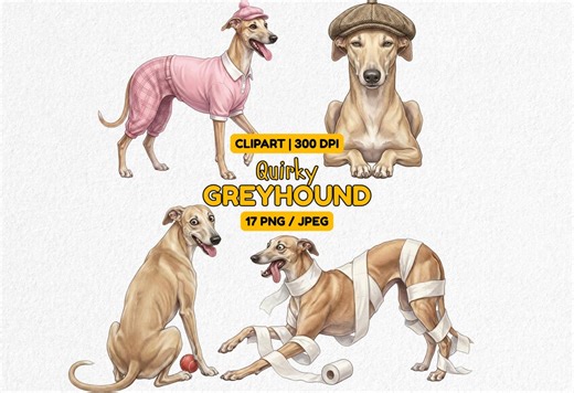 17 PNG Quirky Greyhound Clipart Bundle Dog Mom Gifts Whimsical Pet Lover Gift Dog Breed Art Funny Digital Sticker Sublimation Commercial Use - Etsy