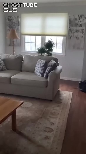 ghostdetector trên TikTok