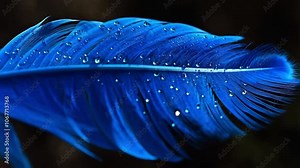 This captivating display showcases a blue feather glistening with water droplets, each catching and reflecting light against a dark backdrop. The intricate details create a mesmerizing effect