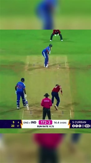 cricket sound effects. #cricketfun #soundeffects #funnyreactions #Cricket #heighlights